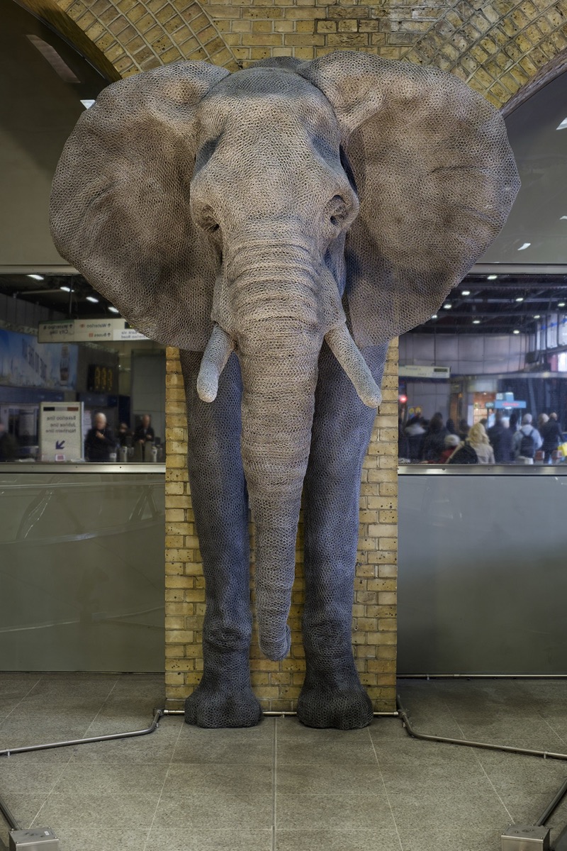 Elephant