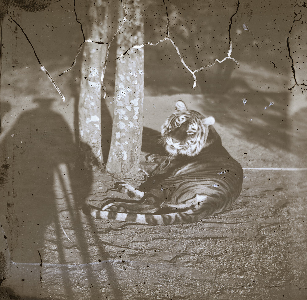 Colonial Views of India: Photographs by Eugene Clutterbuck Impey