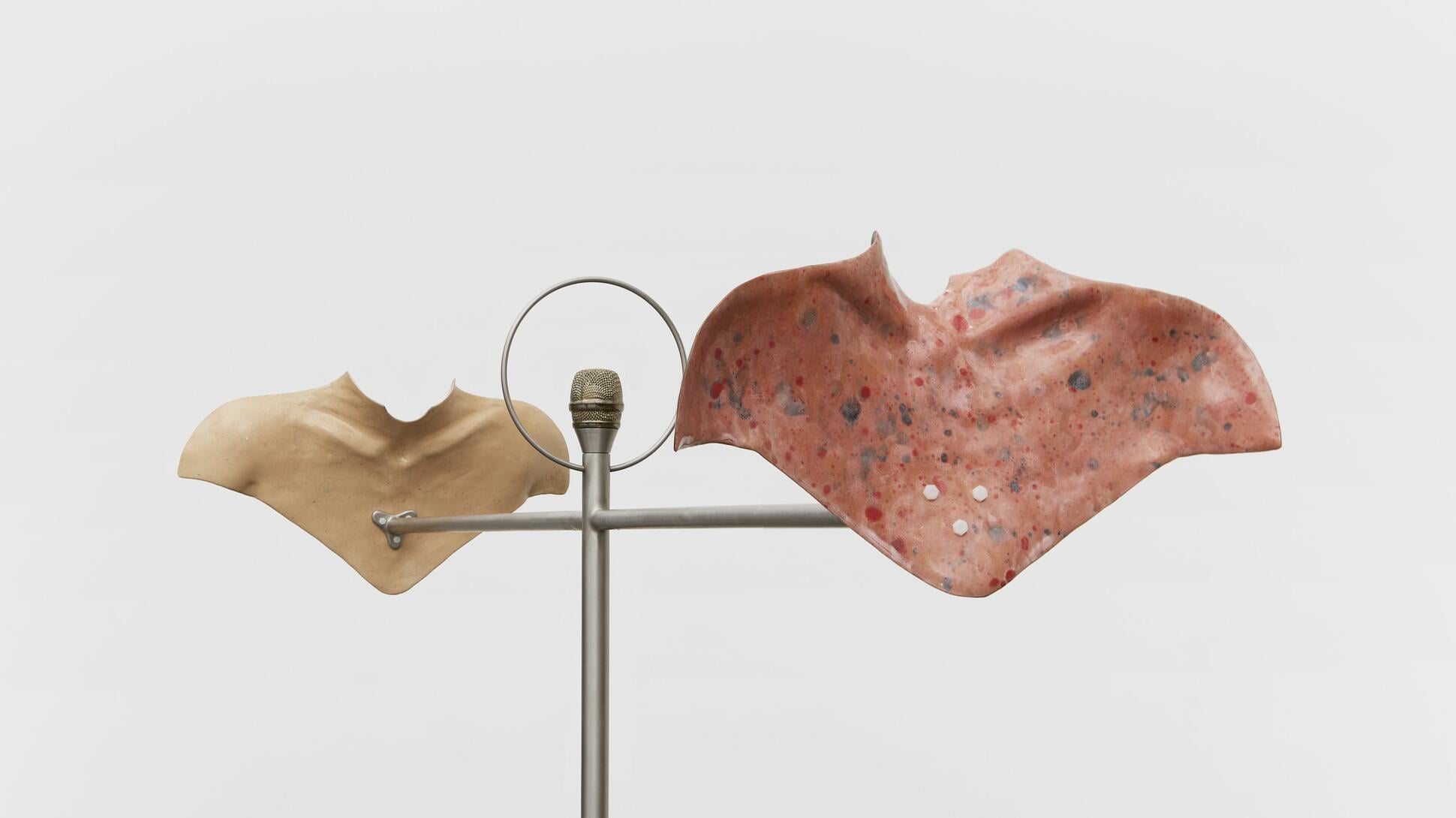 Julia Phillips: Inside, Before They Speak