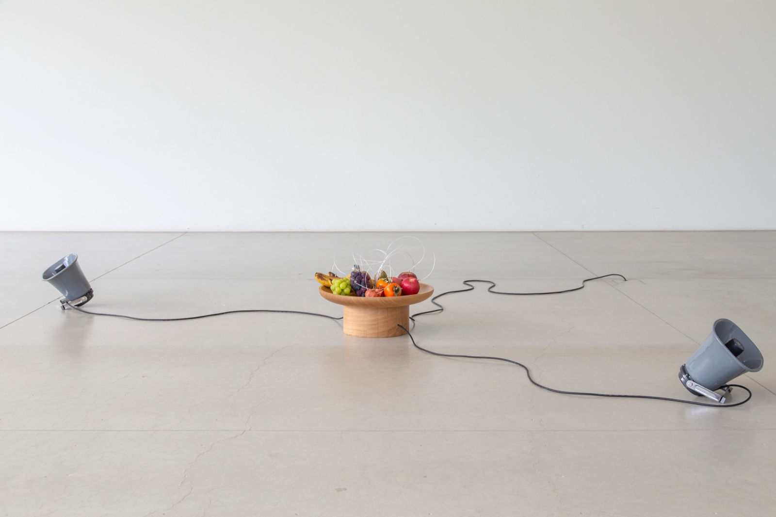 Yuko Mohri: In Concert