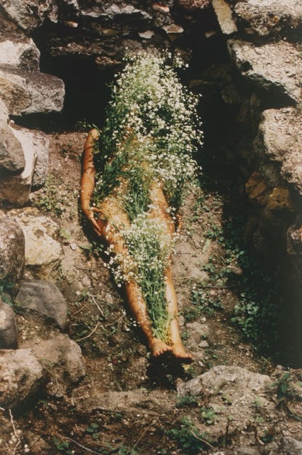 Ana Mendieta
