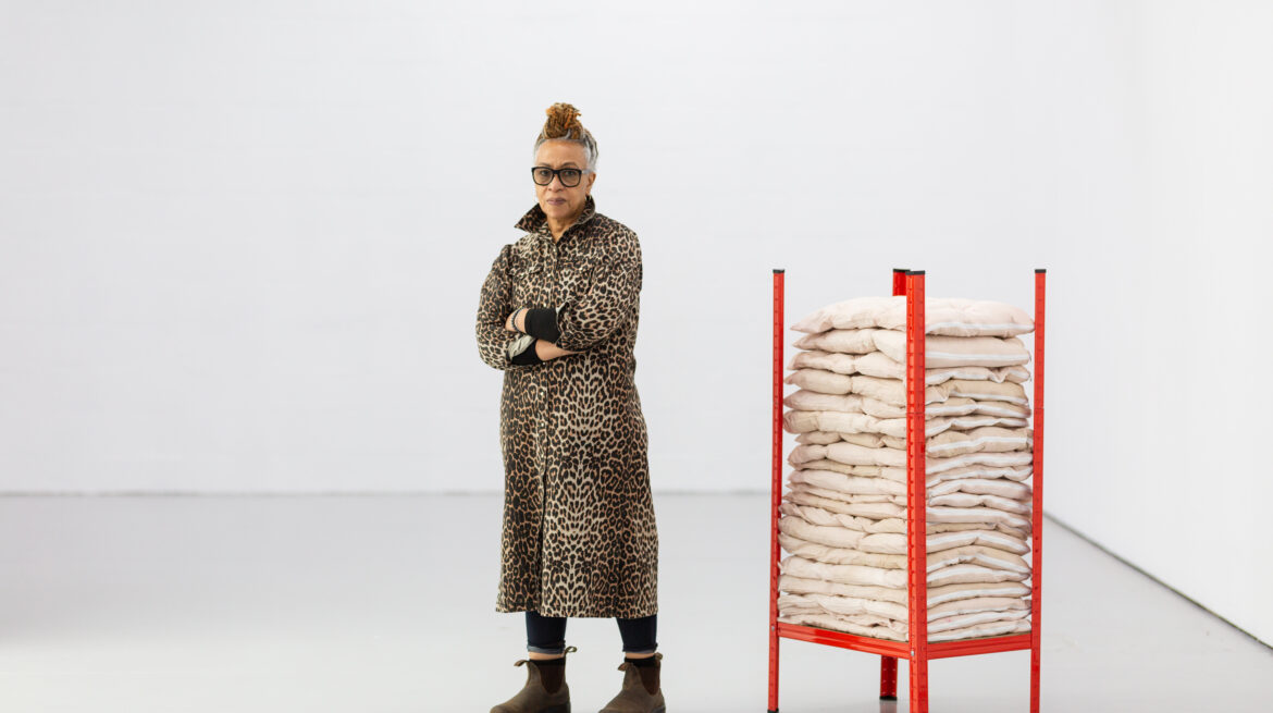 Veronica Ryan: Multiple Conversations