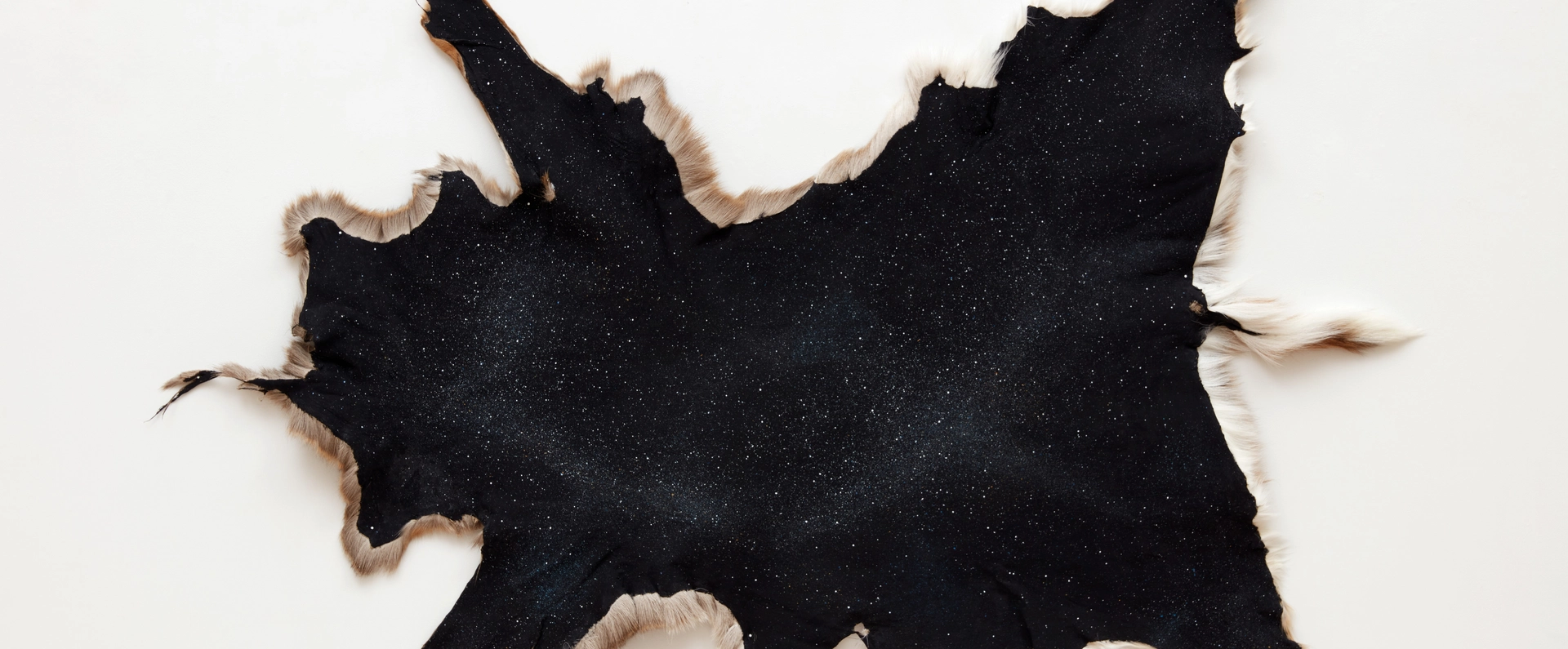 Hold to this Earth: Works by Contemporary Indigenous North American Artists from Tia Collection